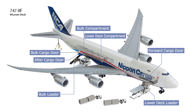 NCA - Nippon Cargo Airlines | Lower Deck