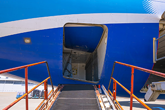 Bulk Cargo Door