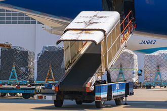 Bulk Cargo Door