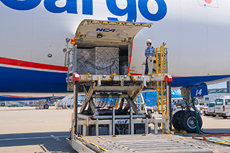 Forward Cargo Door