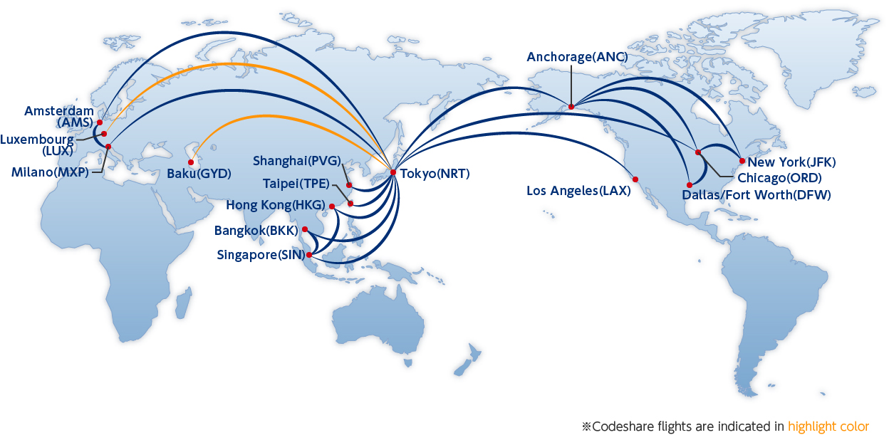 world network map